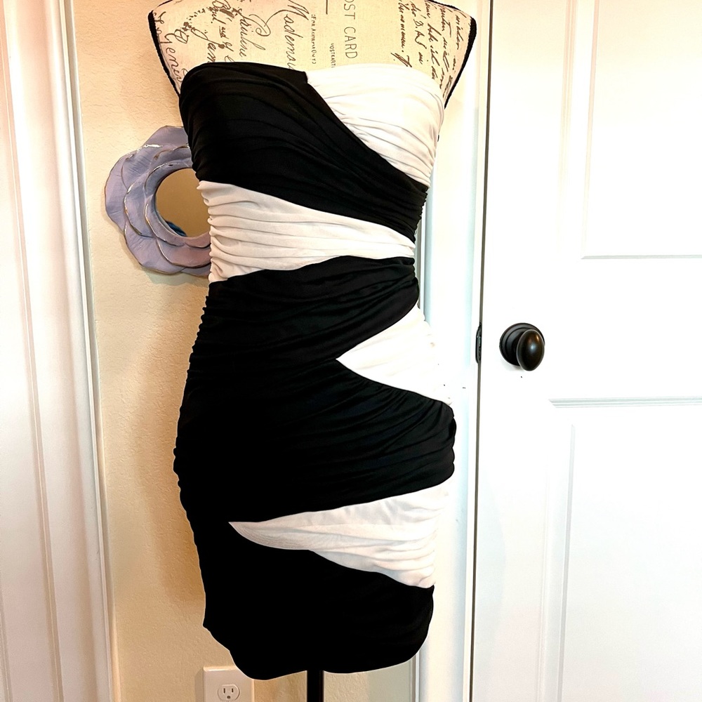 Windsor Strapless Cinched Black and White Mesh Tube Dress